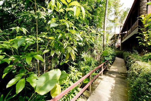 Ubud Heaven Sayan Εξωτερικό φωτογραφία